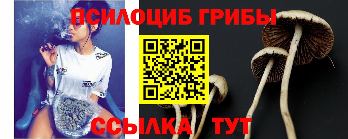 Псилоцибиновые грибы прущие грибы Ахтубинск
